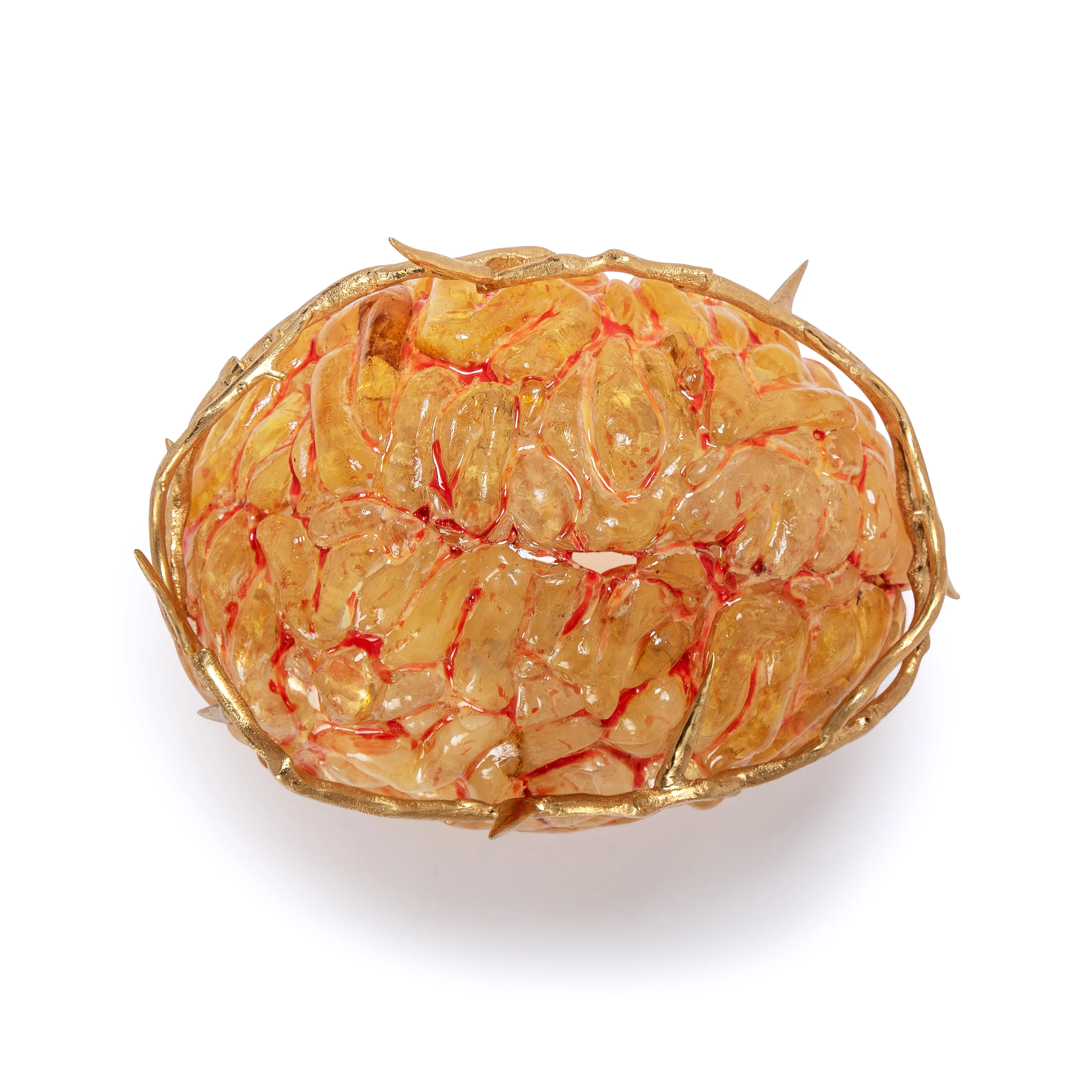 AMBER BRAIN — top view