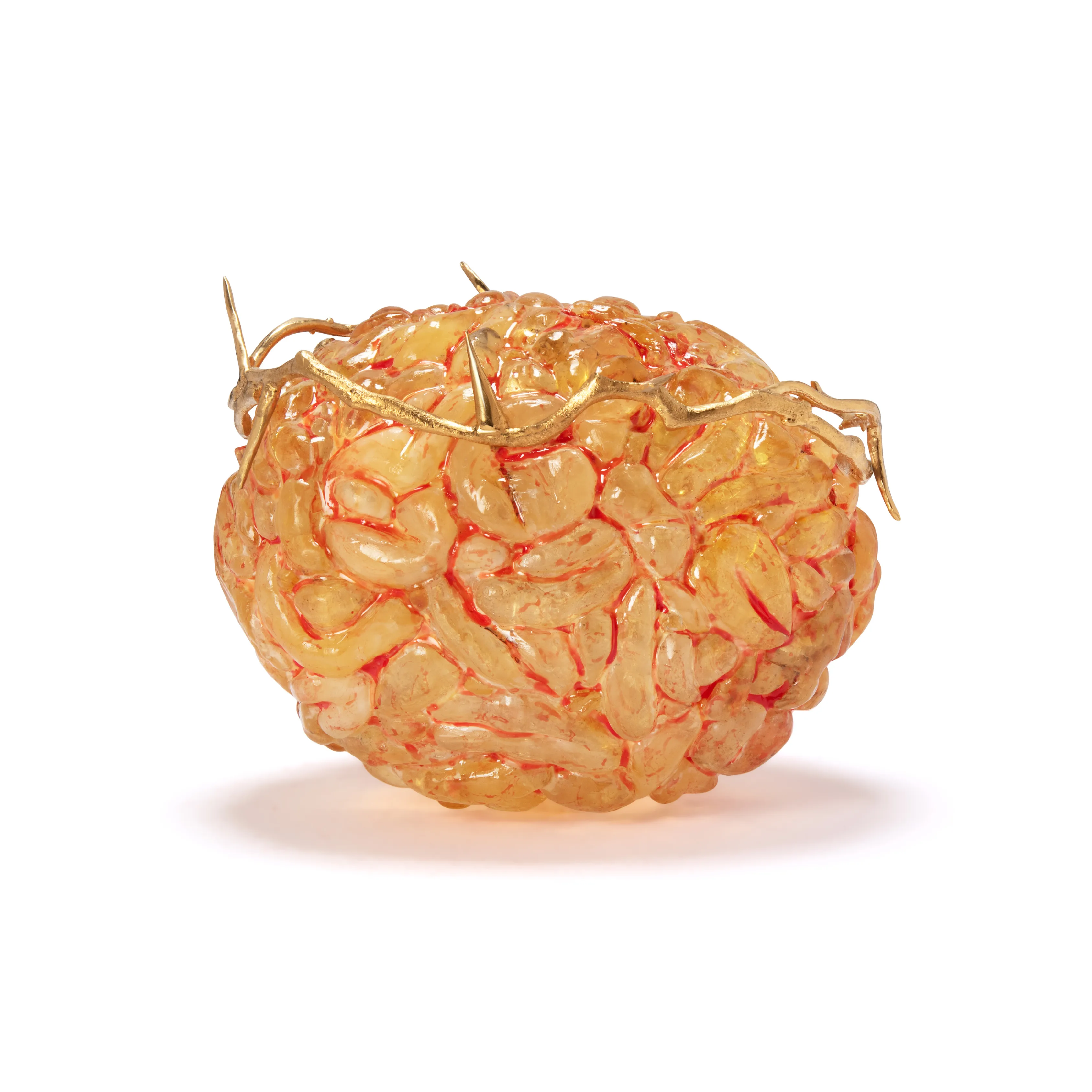 AMBER BRAIN