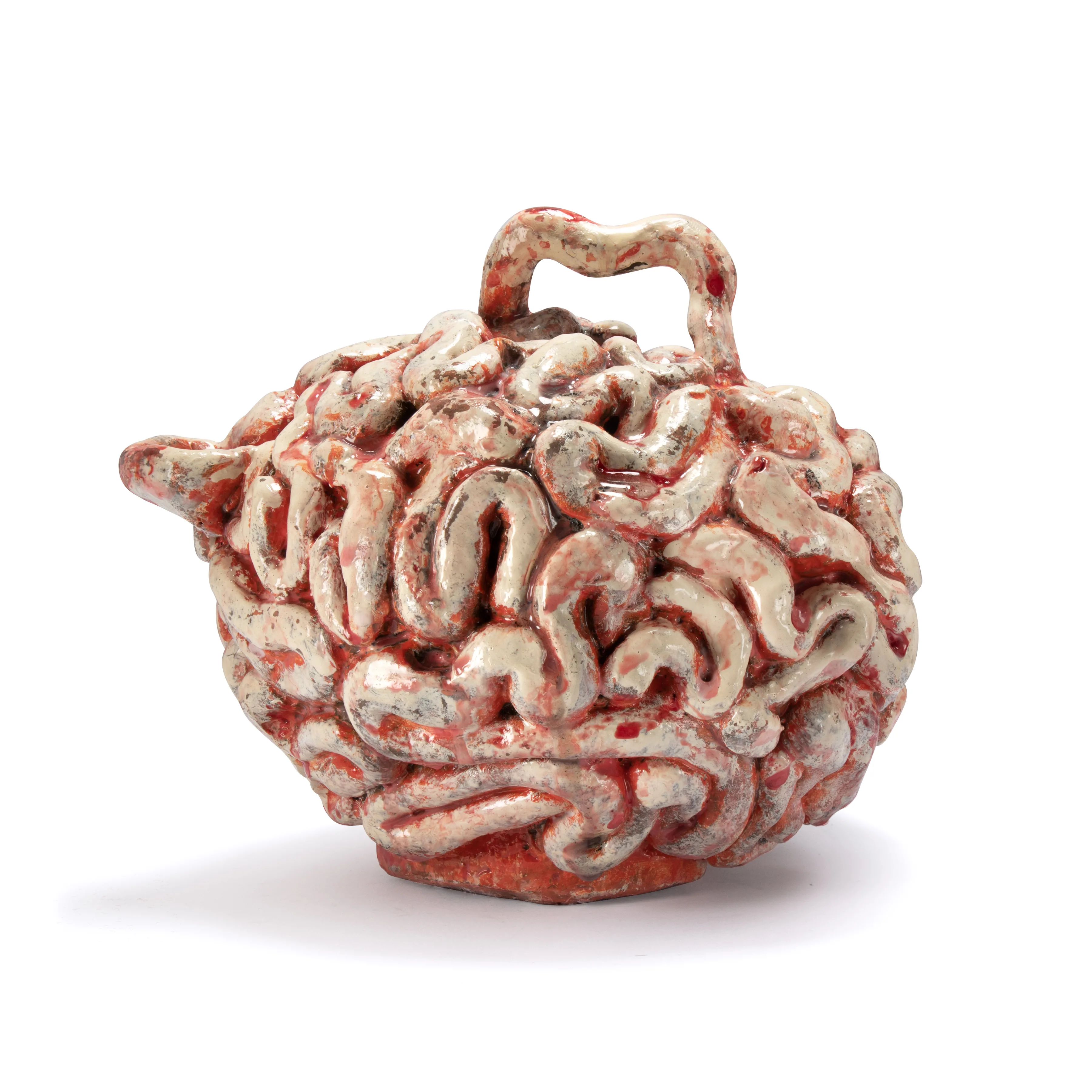 TEAPOT BRAIN — left view