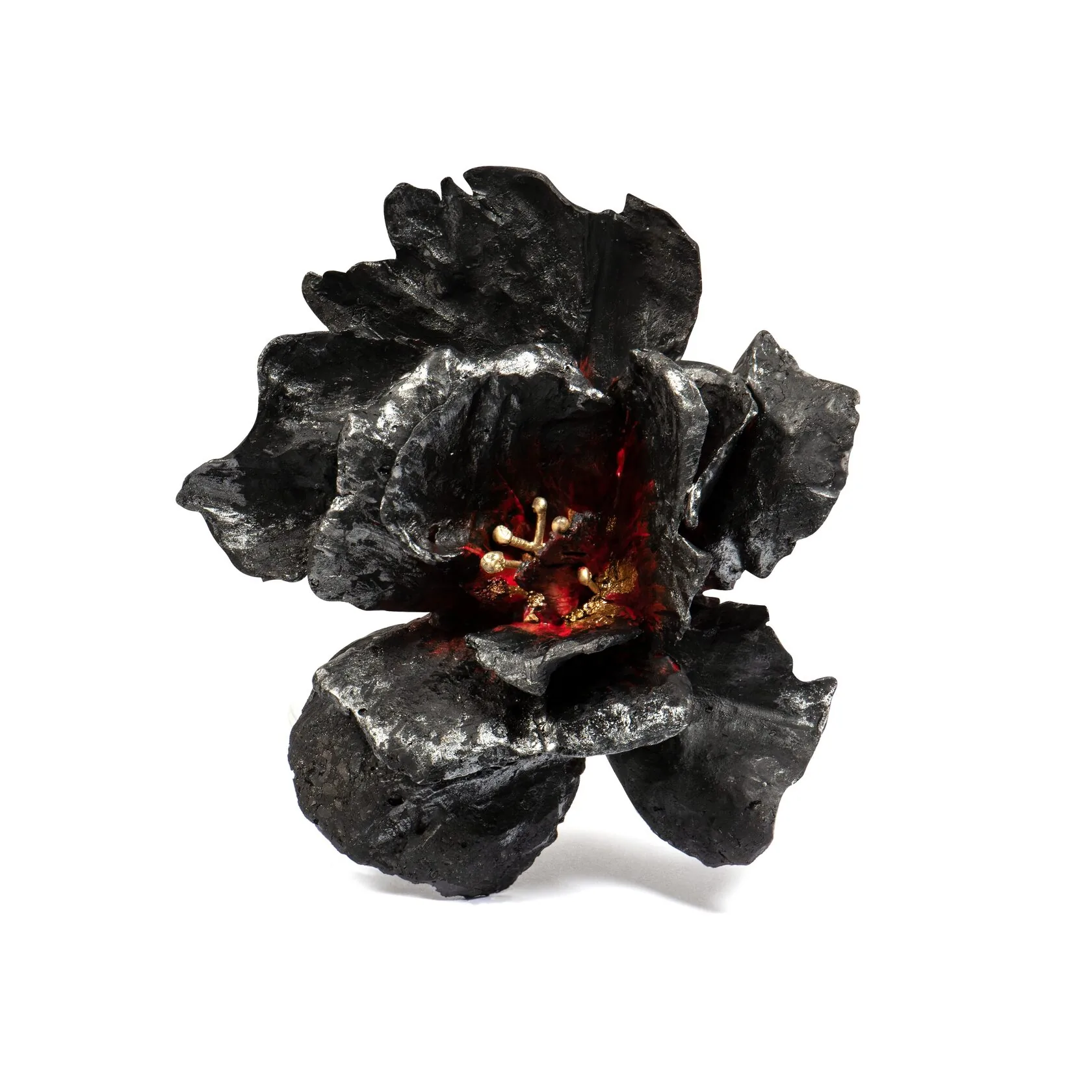 BLACK HIBISCUS