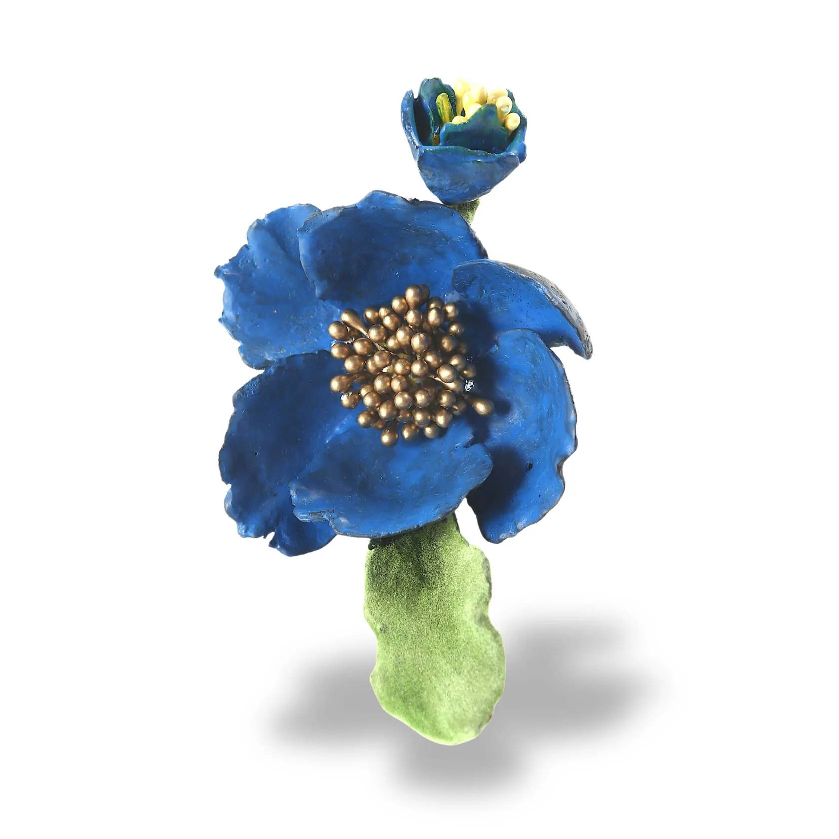 BLUE MECONOPSIS