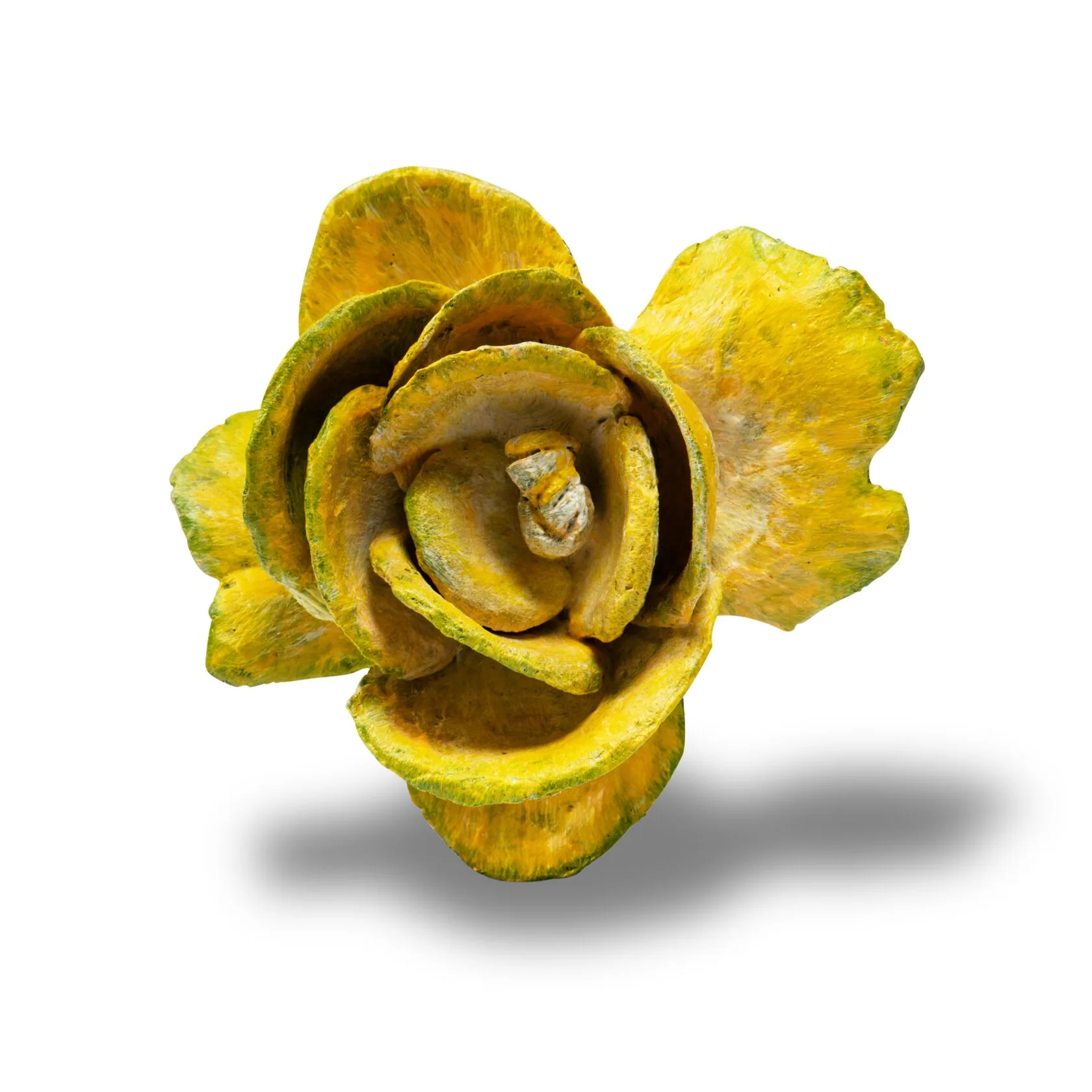 YELLOW ROSE